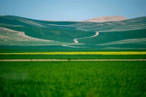 طبیعت بکر ترکمن صحرا و آشنایی با فرهنگ مردم ترکمن